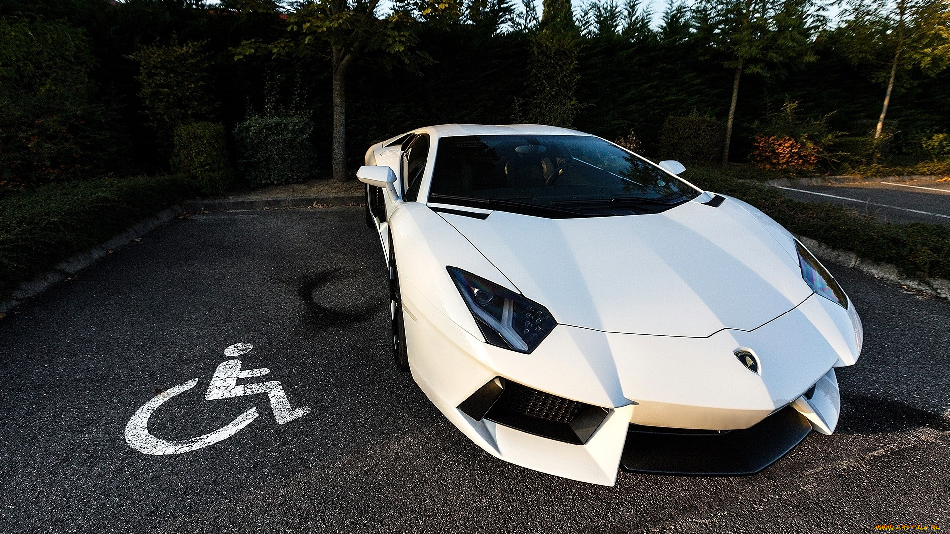 lamborghini, aventador, , automobili, s, p, a, , 